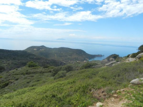 Castello 9